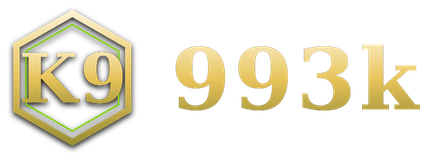 993k logo